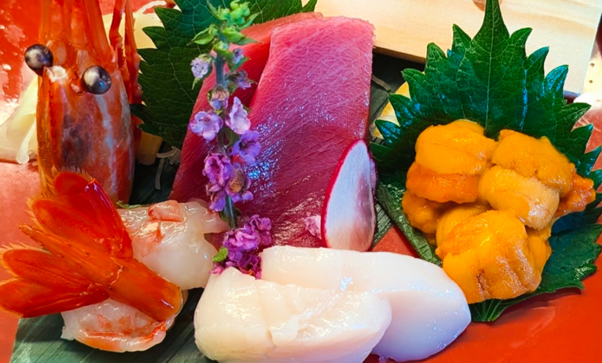 yamaguchi-photo